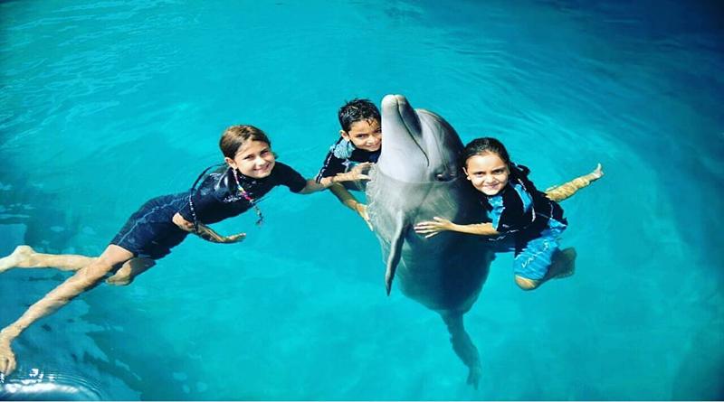 شنا با دلفین و غواصی با دلفین کیش را با دیارگشت تجربه کنید